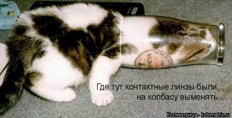 Где тут контактные линзы были, на колбасу выменять...... Котоматрица: Где тут контактные линзы были, на колбасу выменять...
