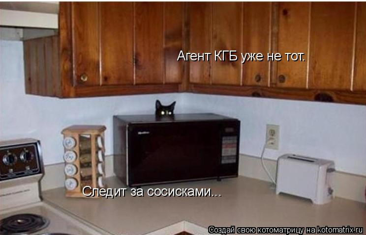 Агент КГБ уже не тот. Агент КГБ уже не тот. Следит за сосисками... Следит за сосисками...... Котоматрица: Агент КГБ уже не тот. Агент КГБ уже не тот. Следит за сосисками... Следит за сосисками...