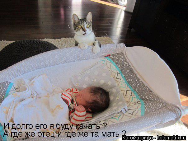 И долго его я буду качать ? А где же отец и где же та мать ?... Котоматрица: И долго его я буду качать ? А где же отец и где же та мать ?