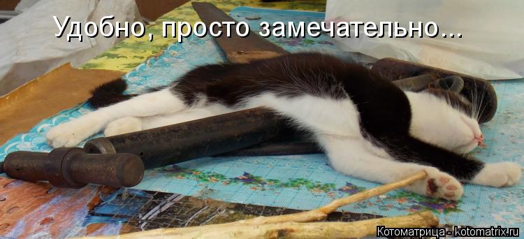 Котоматрица: Удобно, просто замечательно...
