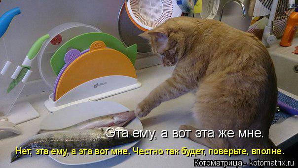 Эта ему, а вот эта же мне. Нет, эта ему, а эта вот мне. Честно так будет, поверьте, вполне.... Котоматрица: Эта ему, а вот эта же мне. Нет, эта ему, а эта вот мне. Честно так будет, поверьте, вполне.
