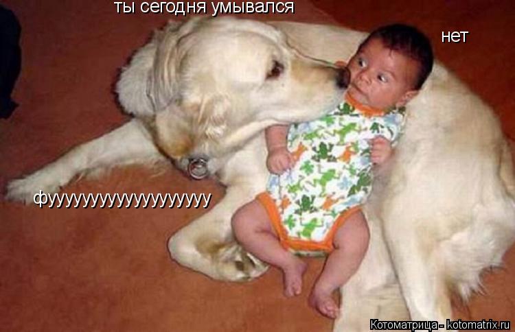 ты сегодня умывался нет нет фууууууууууууууууууу... Котоматрица: ты сегодня умывался нет нет фууууууууууууууууууу