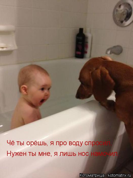 Чё ты орёшь, я про воду спросил. Нужен ты мне, я лишь нос намочил.... Котоматрица: Чё ты орёшь, я про воду спросил. Нужен ты мне, я лишь нос намочил.