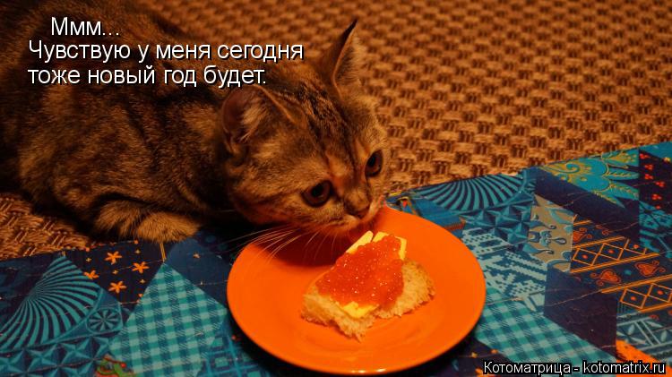 Ммм... Чувствую у меня сегодня тоже новый год будет.... Котоматрица: Ммм... Чувствую у меня сегодня тоже новый год будет.