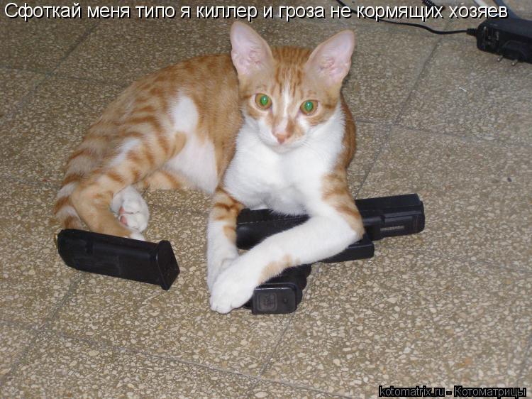 Сфоткай меня типо я киллер и гроза не кормящих хозяев... Котоматрица: Сфоткай меня типо я киллер и гроза не кормящих хозяев