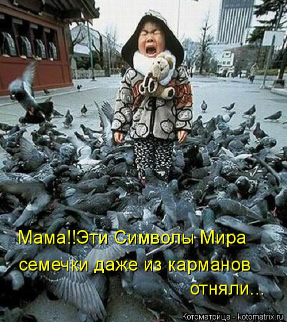 Мама!!Эти Символы Мира семечки даже из карманов отняли...... Котоматрица: Мама!!Эти Символы Мира семечки даже из карманов отняли...