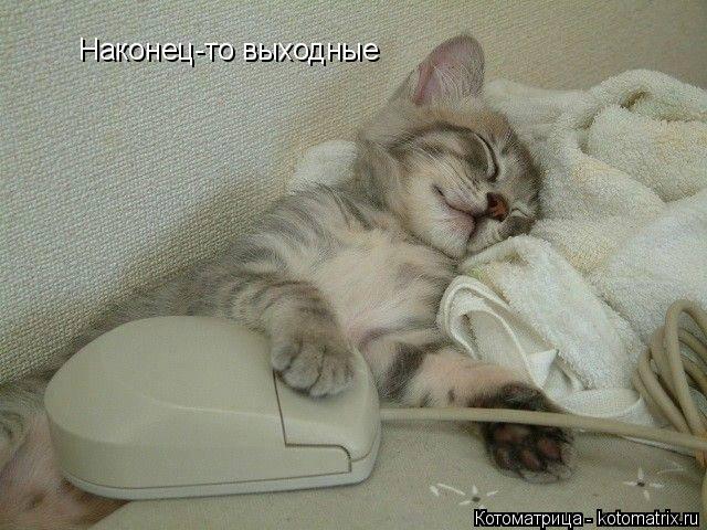 Наконец-то выходные... Котоматрица: Наконец-то выходные