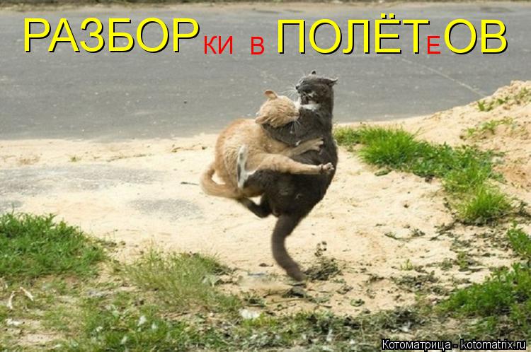 РАЗБОР ПОЛЁТ ОВ КИ В Е... Котоматрица: РАЗБОР ПОЛЁТ ОВ КИ В Е