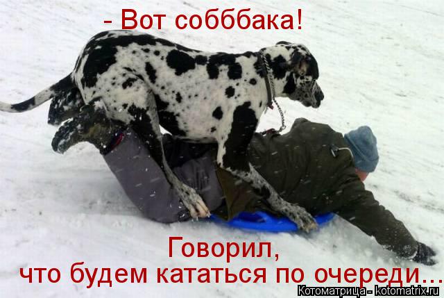- Вот собббака! что будем кататься по очереди... Говорил,... Котоматрица: - Вот собббака! что будем кататься по очереди... Говорил,