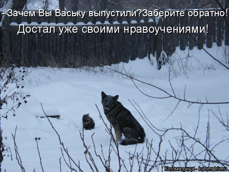 - Зачем Вы Ваську выпустили?Заберите обратно! Достал уже своими нравоучениями!... Котоматрица: - Зачем Вы Ваську выпустили?Заберите обратно! Достал уже своими нравоучениями!