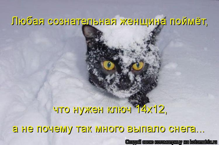 Любая сознательная женщина поймёт, что нужен ключ 14х12, а не почему так много выпало снега...... Котоматрица: Любая сознательная женщина поймёт, что нужен ключ 14х12, а не почему так много выпало снега...