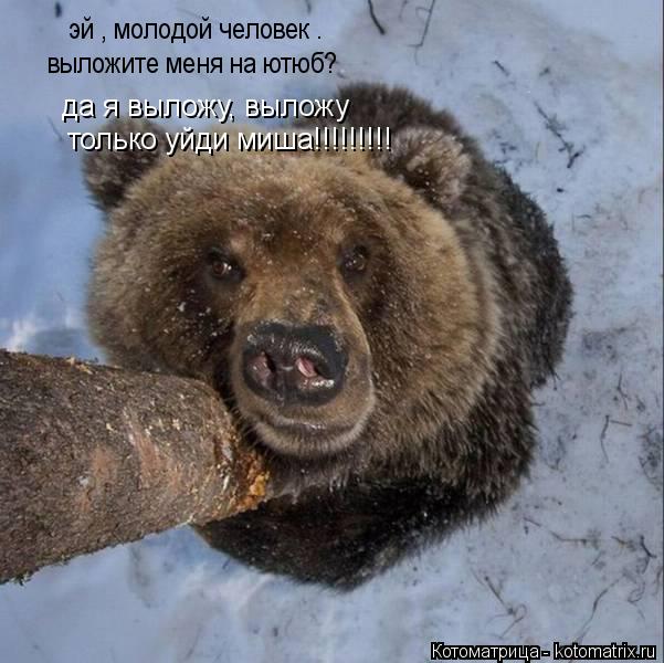 эй , молодой человек . выложите меня на ютюб? да я выложу, выложу только уйди миша!!!!!!!!!... Котоматрица: эй , молодой человек . выложите меня на ютюб? да я выложу, выложу только уйди миша!!!!!!!!!
