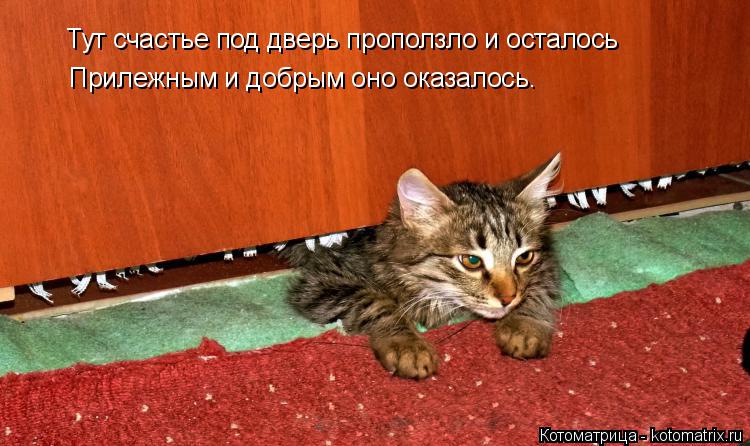 Тут счастье под дверь проползло и осталось Прилежным и добрым оно оказалось.... Котоматрица: Тут счастье под дверь проползло и осталось Прилежным и добрым оно оказалось.