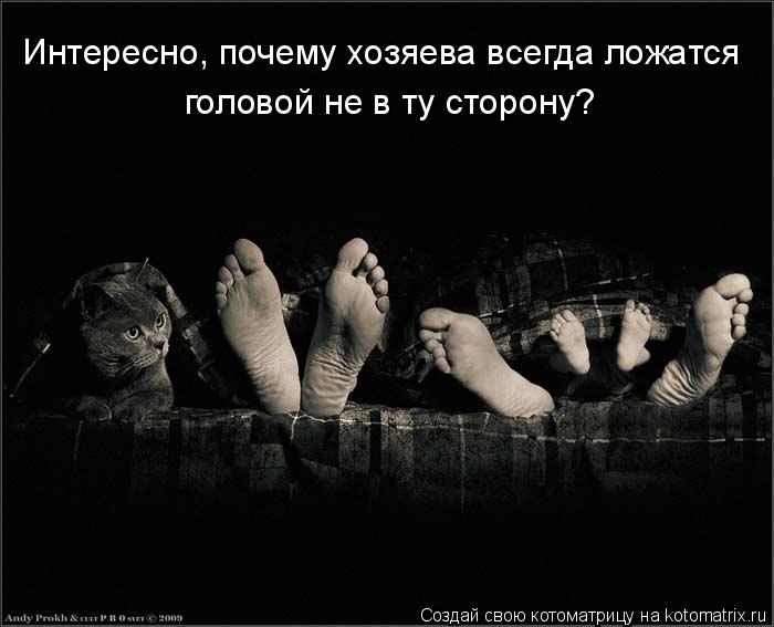 Интересно, почему хозяева всегда ложатся головой не в ту сторону?... Котоматрица: Интересно, почему хозяева всегда ложатся головой не в ту сторону?