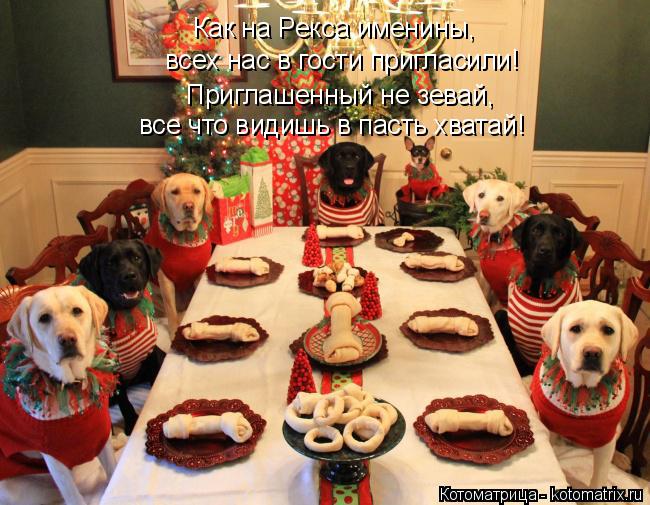 всех нас в гости пригласили! все что видишь в пасть хватай! Приглашенный не зевай, Как на Рекса имени... Котоматрица: всех нас в гости пригласили! все что видишь в пасть хватай! Приглашенный не зевай, Как на Рекса именины,
