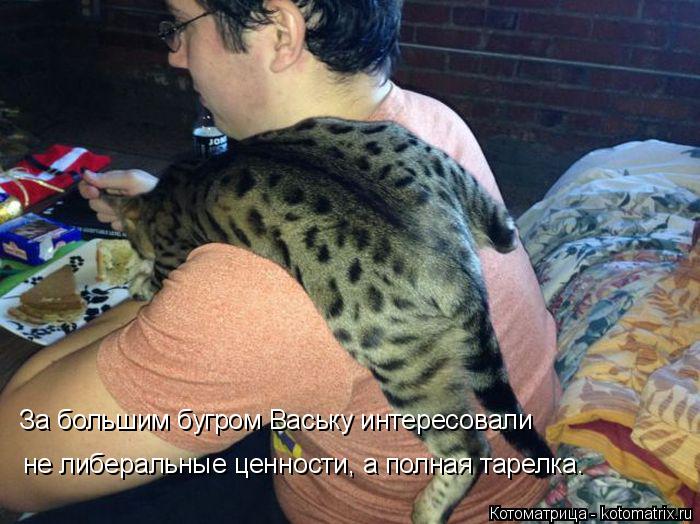 За большим бугром Ваську интересовали не либеральные ценности, а полная тарелка.... Котоматрица: За большим бугром Ваську интересовали не либеральные ценности, а полная тарелка.