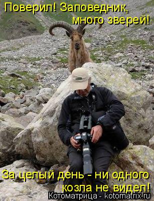 Поверил! Заповедник, много зверей! За целый день - ни одного козла не видел!... Котоматрица: Поверил! Заповедник, много зверей! За целый день - ни одного козла не видел!