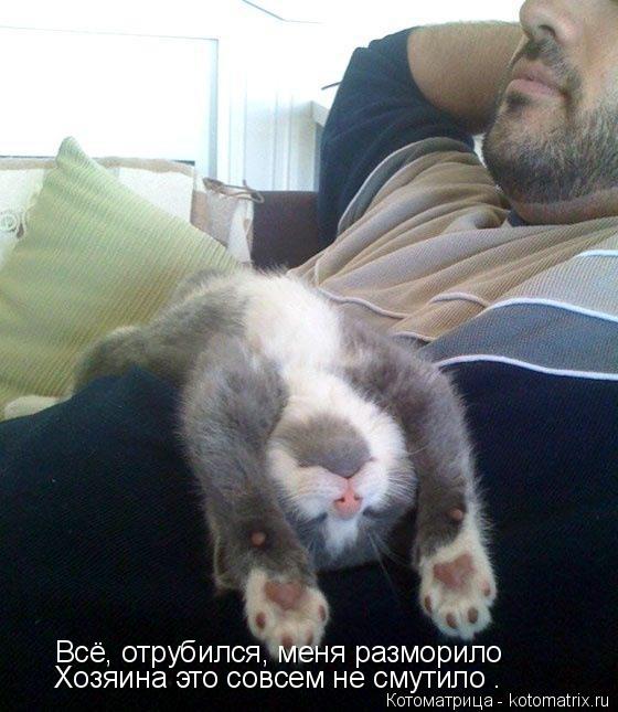 Всё, отрубился, меня разморило Хозяина это совсем не смутило .... Котоматрица: Всё, отрубился, меня разморило Хозяина это совсем не смутило .