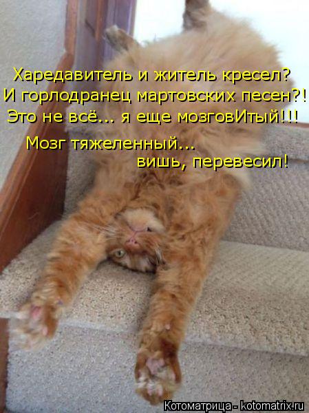 Харедавитель и житель кресел? И горлодранец мартовских песен?! Мозг тяжеленный... вишь, перевесил! Э... Котоматрица: Харедавитель и житель кресел? И горлодранец мартовских песен?! Мозг тяжеленный... вишь, перевесил! Это не всё... я еще мозговИтый!!!