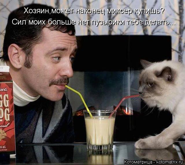 Котоматрица: Хозяин,может наконец миксер купишь?  Сил моих больше нет пузырики тебе делать...