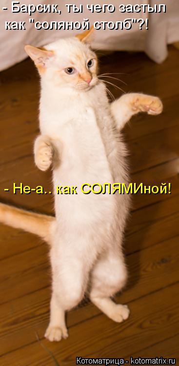 - Барсик, ты чего застыл как "соляной столб"?! - Не-а.. как СОЛЯМИной!... Котоматрица: - Барсик, ты чего застыл как "соляной столб"?! - Не-а.. как СОЛЯМИной!