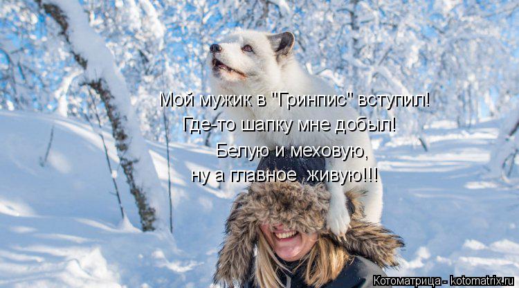 Мой мужик в "Гринпис" вступил! Белую и меховую, ну а главное живую!!! Где-то шапку мне добыл!... Котоматрица: Мой мужик в "Гринпис" вступил! Белую и меховую, ну а главное живую!!! Где-то шапку мне добыл!