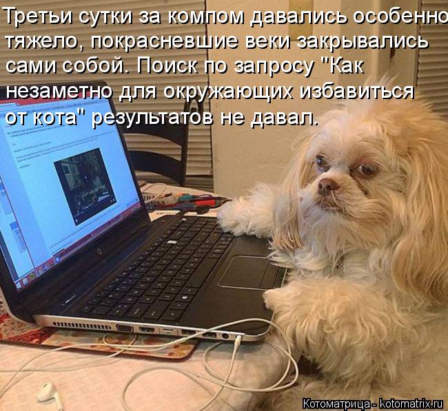 Третьи сутки за компом давались особенно тяжело, покрасневшие веки закрывались сами собой. Поиск по з... Котоматрица: Третьи сутки за компом давались особенно тяжело, покрасневшие веки закрывались сами собой. Поиск по запросу "Как незаметно для окружающих
