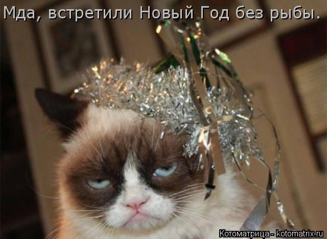 Мда, встретили Новый Год без рыбы.... Котоматрица: Мда, встретили Новый Год без рыбы.