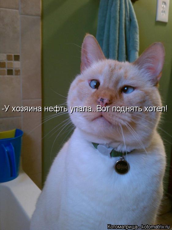 -У хозяина нефть упала..Вот поднять хотел!... Котоматрица: -У хозяина нефть упала..Вот поднять хотел!