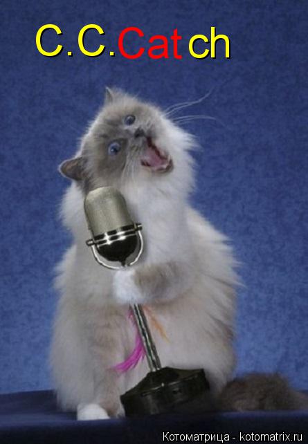 С.С. Cat ch... Котоматрица: С.С. Cat ch