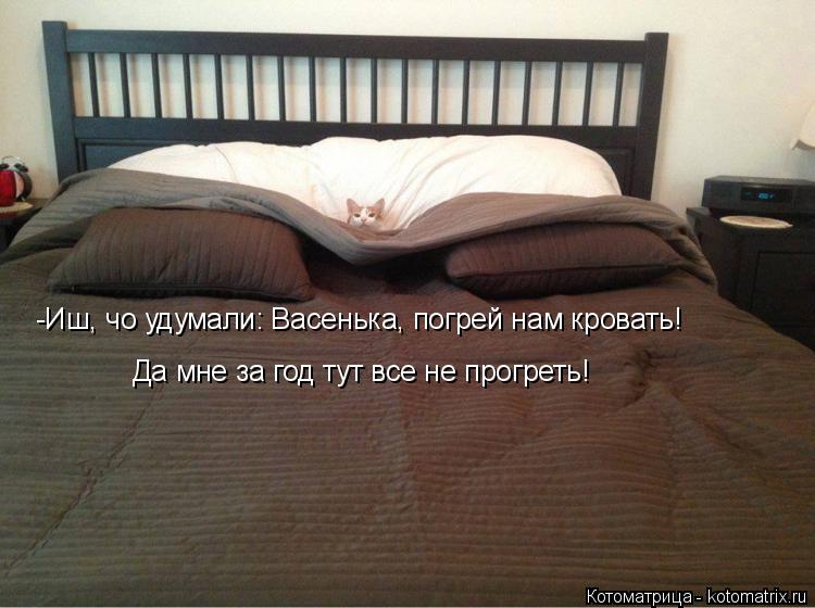 -Иш, чо удумали: Васенька, погрей нам кровать! Да мне за год тут все не прогреть!... Котоматрица: -Иш, чо удумали: Васенька, погрей нам кровать! Да мне за год тут все не прогреть!