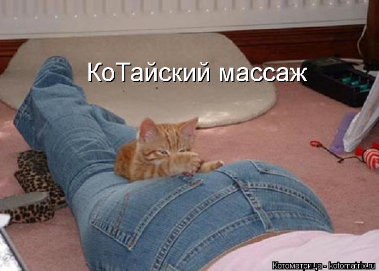 КоТайский массаж... Котоматрица: КоТайский массаж