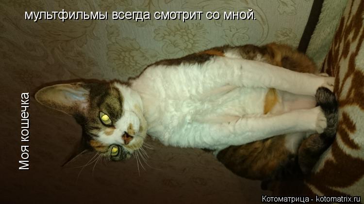 Котоматрица: Моя кошечка мультфильмы всегда смотрит со мной.