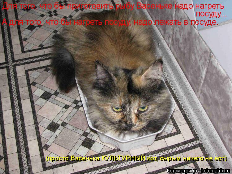 Для того, что бы приготовить рыбу Васеньке надо нагреть посуду... А для того, что бы нагреть посуду, ... Котоматрица: Для того, что бы приготовить рыбу Васеньке надо нагреть посуду... А для того, что бы нагреть посуду, надо лежать в посуде. (просто Васенька КУЛ