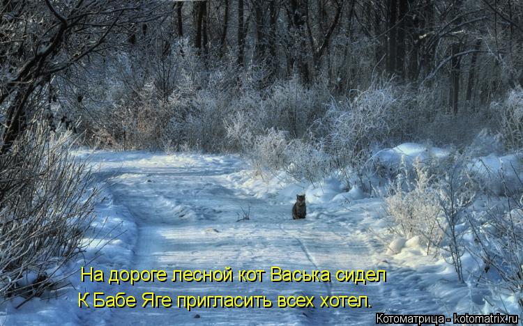 На дороге лесной кот Васька сидел К Бабе Яге пригласить всех хотел.... Котоматрица: На дороге лесной кот Васька сидел К Бабе Яге пригласить всех хотел.