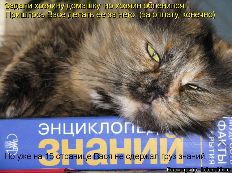 Котоматрица: Задали хозяину домашку, но хозяин обленился... Пришлось Васе делать ее за него. (за оплату, конечно) Но уже на 15 странице Вася не сдержал груз 