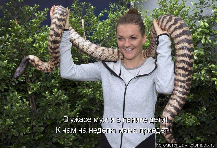 Котоматрица: В ужасе муж и в панике дети! К нам на неделю мама приедет!