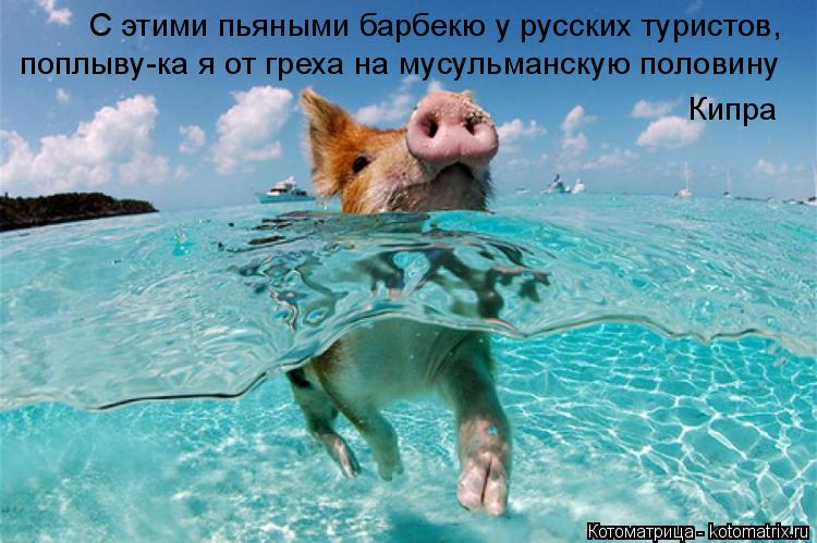С этими пьяными барбекю у русских туристов, поплыву-ка я от греха на мусульманскую половину Кипра... Котоматрица: С этими пьяными барбекю у русских туристов, поплыву-ка я от греха на мусульманскую половину Кипра