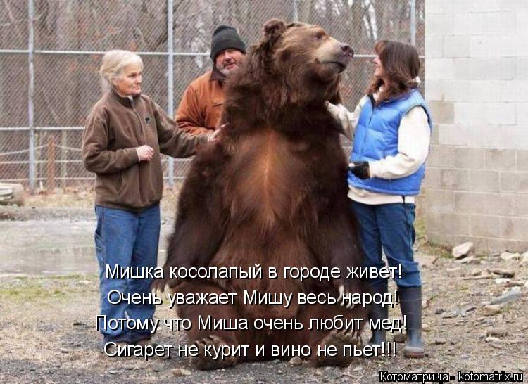Котоматрица: Мишка косолапый в городе живет! Очень уважает Мишу весь народ! Потому что Миша очень любит мед! Сигарет не курит и вино не пьет!!!