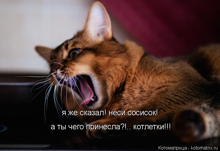 Котоматрица: я же сказал! неси сосисок! а ты чего принесла?!.. котлетки!!!