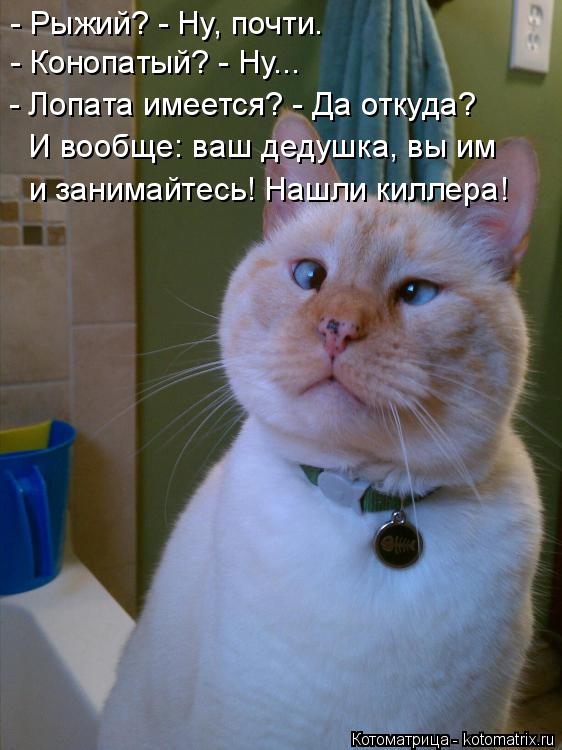 Котоматрица: - Рыжий? - Ну, почти. - Конопатый? - Ну... - Лопата имеется? - Да откуда?  И вообще: ваш дедушка, вы им  и занимайтесь! Нашли киллера!