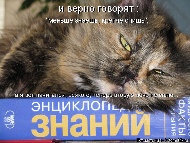Котоматрица: и верно говорят :  "меньше знаешь, крепче спишь", а я вот начитался, всякого, теперь вторую ночь не сплю...