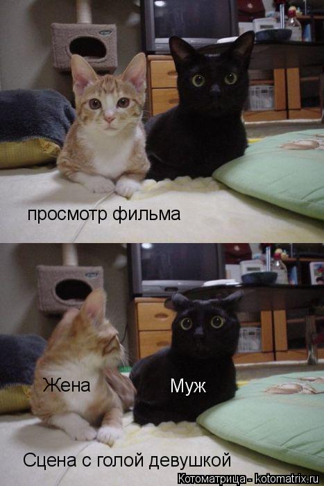 Котоматрица: просмотр фильма Сцена с голой девушкой Жена Муж