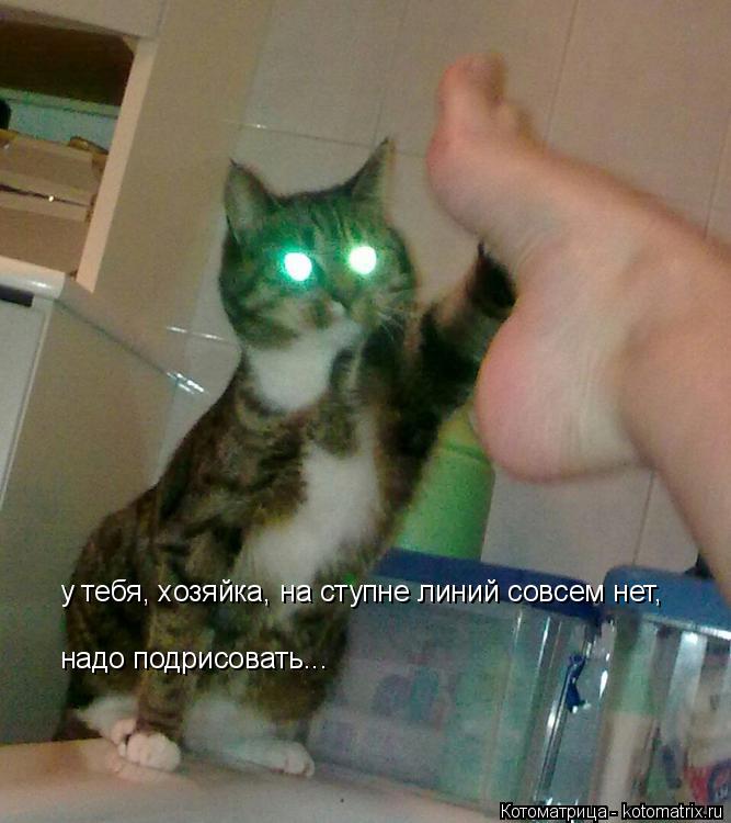 Котоматрица: у тебя, хозяйка, на ступне линий совсем нет, надо подрисовать...