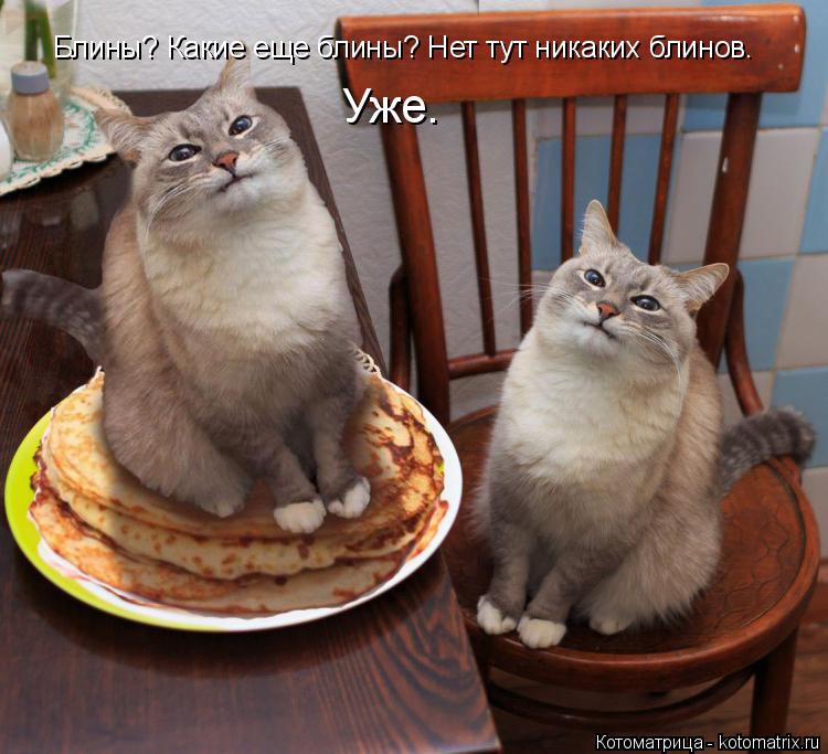 Блины? Какие еще блины? Нет тут никаких блинов. Уже.... Котоматрица: Блины? Какие еще блины? Нет тут никаких блинов. Уже.