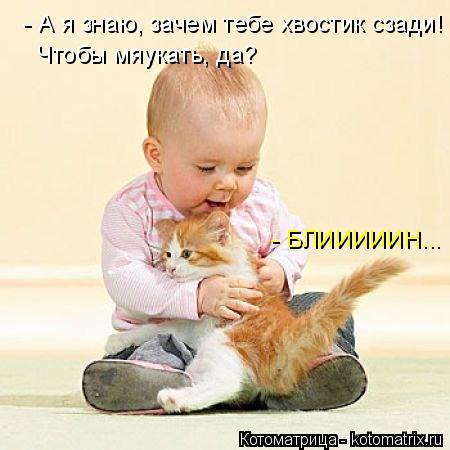 - А я знаю, зачем тебе хвостик сзади! Чтобы мяукать, да? - БЛИИИИИН...... Котоматрица: - А я знаю, зачем тебе хвостик сзади! Чтобы мяукать, да? - БЛИИИИИН...