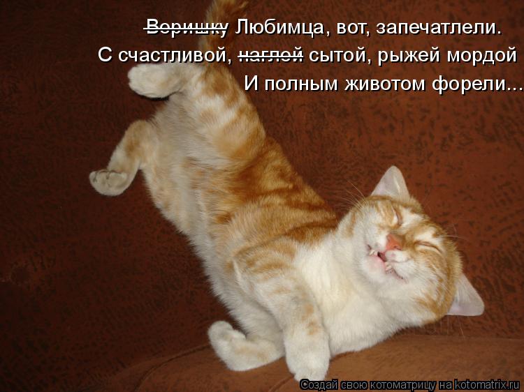 Котоматрица: Воришку Любимца, вот, запечатлели. __________ С счастливой, наглой сытой, рыжей мордой И полным животом форели... ________