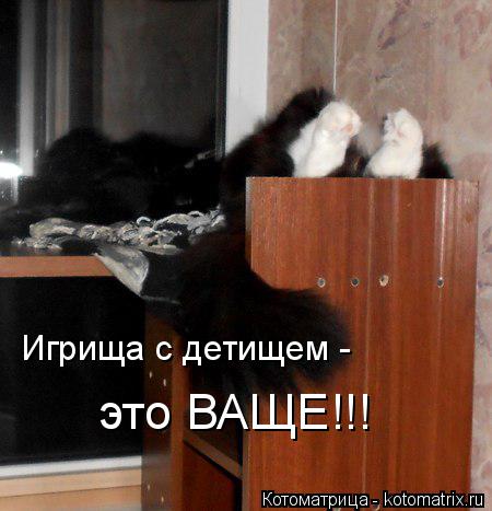 Котоматрица: Игрища с детищем - это ВАЩЕ!!!