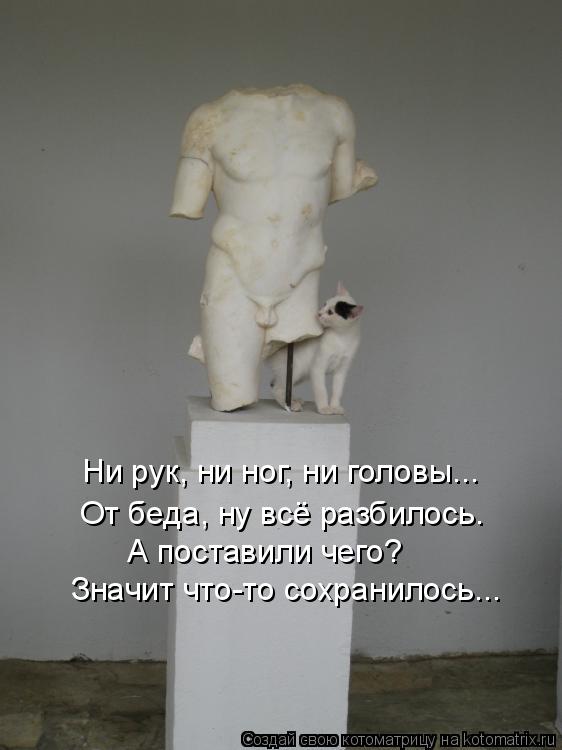 Ни рук, ни ног, ни головы... От беда, ну всё разбилось. А поставили чего? Значит что-то сохранилось..... Котоматрица: Ни рук, ни ног, ни головы... От беда, ну всё разбилось. А поставили чего? Значит что-то сохранилось...