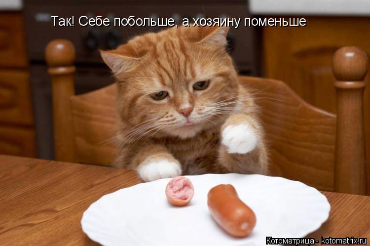 Котоматрица: Так! Себе побольше, а хозяину поменьше